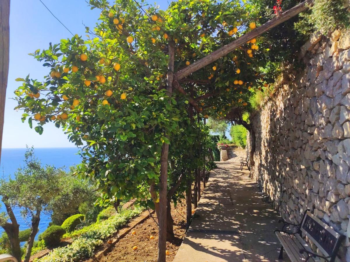Casa Orrico - Blue Grotto - Anacapri Hotel Exterior photo